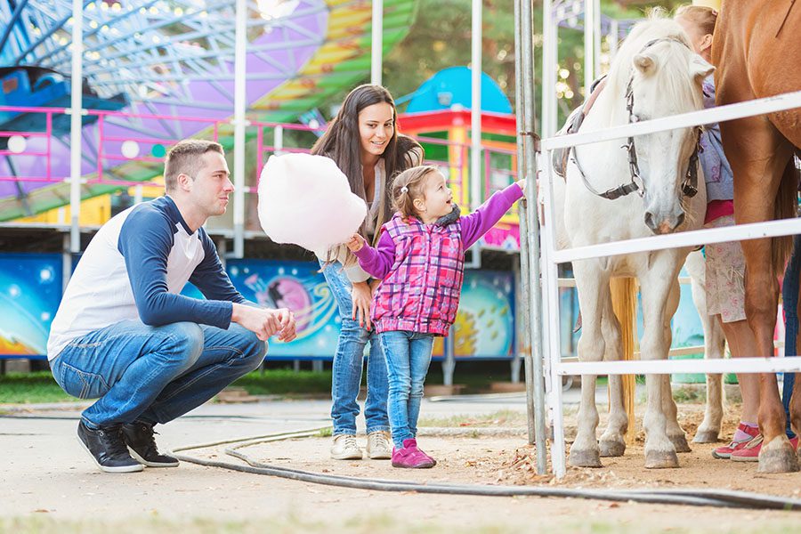 Personal Insurance - Family With Daughter Holding Cotton Candy and Stroking a Pony at an Amusement Park